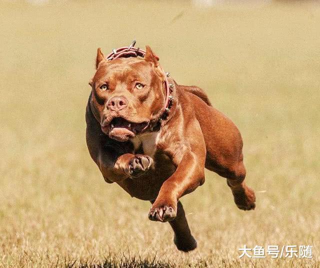 女友凶萌_我的女友很凶残 mheiyancom