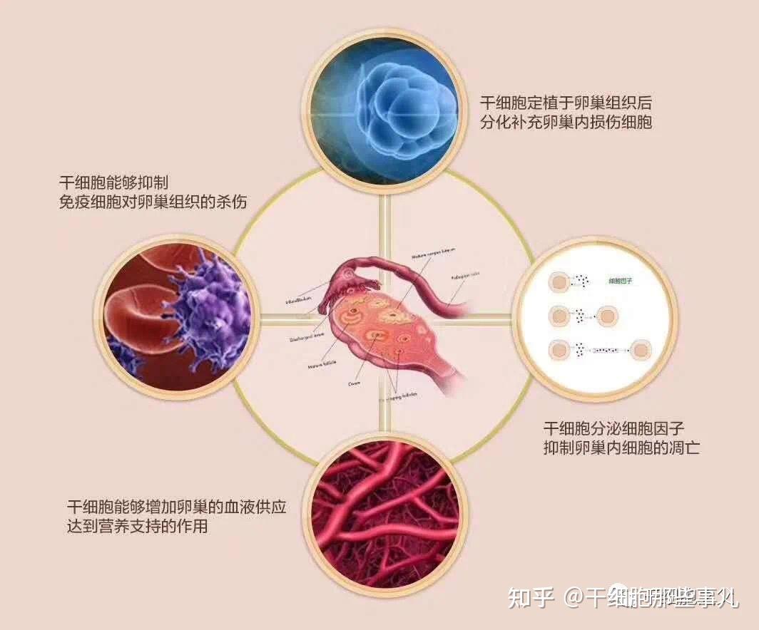 明日方舟干员tag搭配，战斗更出彩