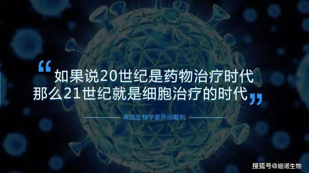 明日方舟资深干员tag搭配_明日方舟资深干员词条一览_明日方舟资深干员搭配支援