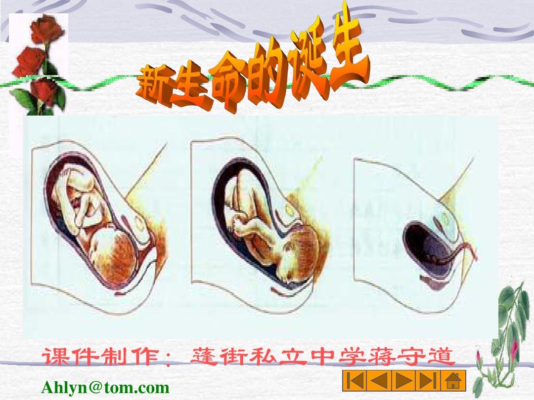 baby maker