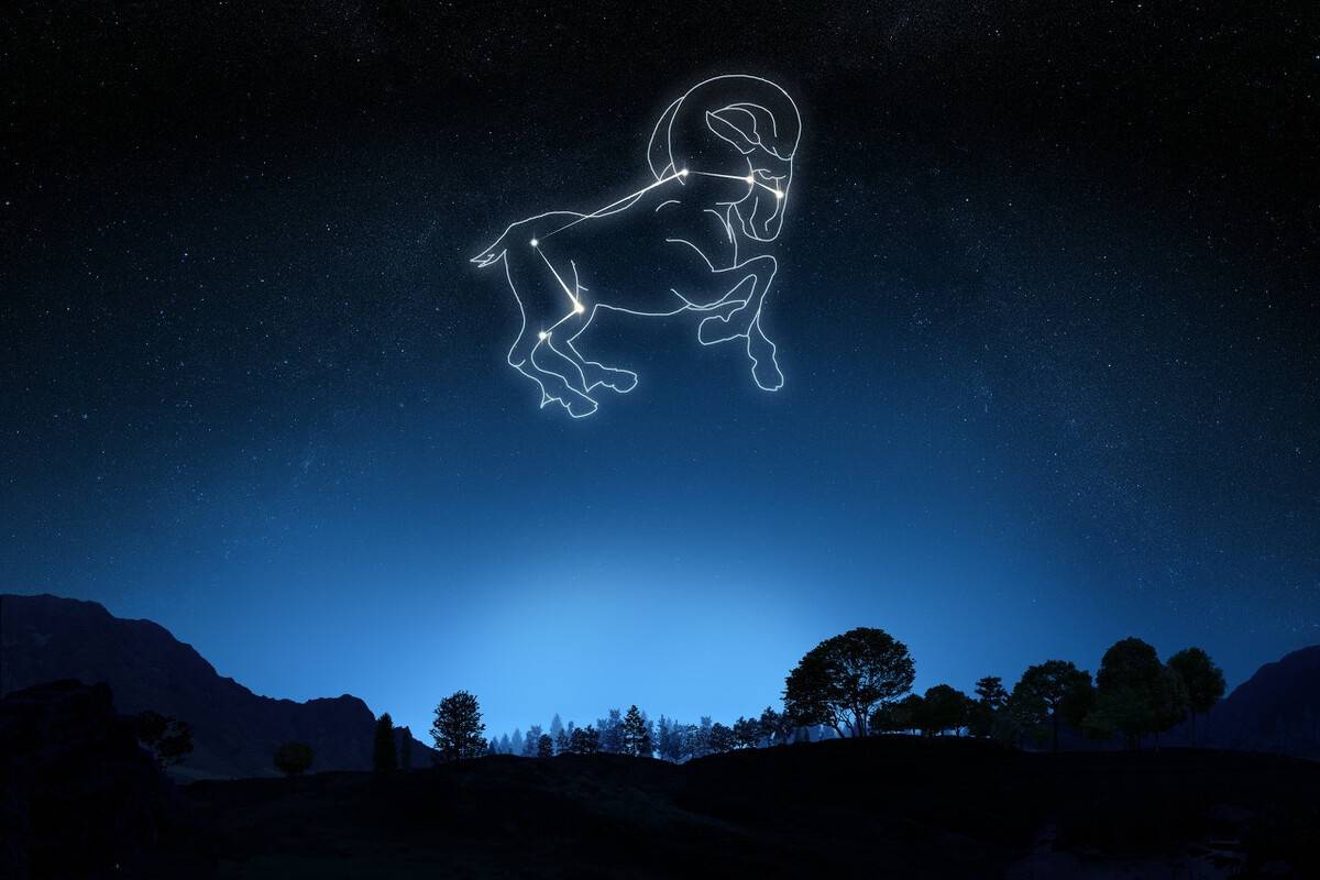 占卜星座运势_占卜星座的人叫什么_星座占卜