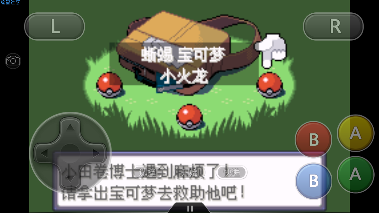 口袋妖怪白金金手指下载_口袋妖怪白金r4金手指_口袋妖怪白金金手指代码大全