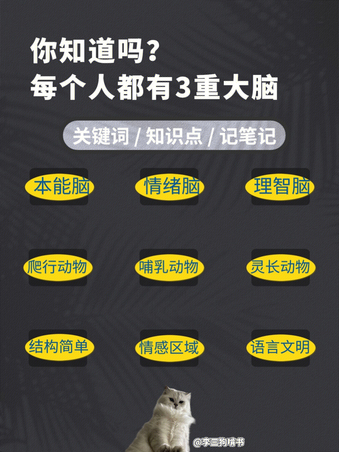 最强大脑水哥个人资料_最强大脑第二季水哥视频_最强大脑歌手选手