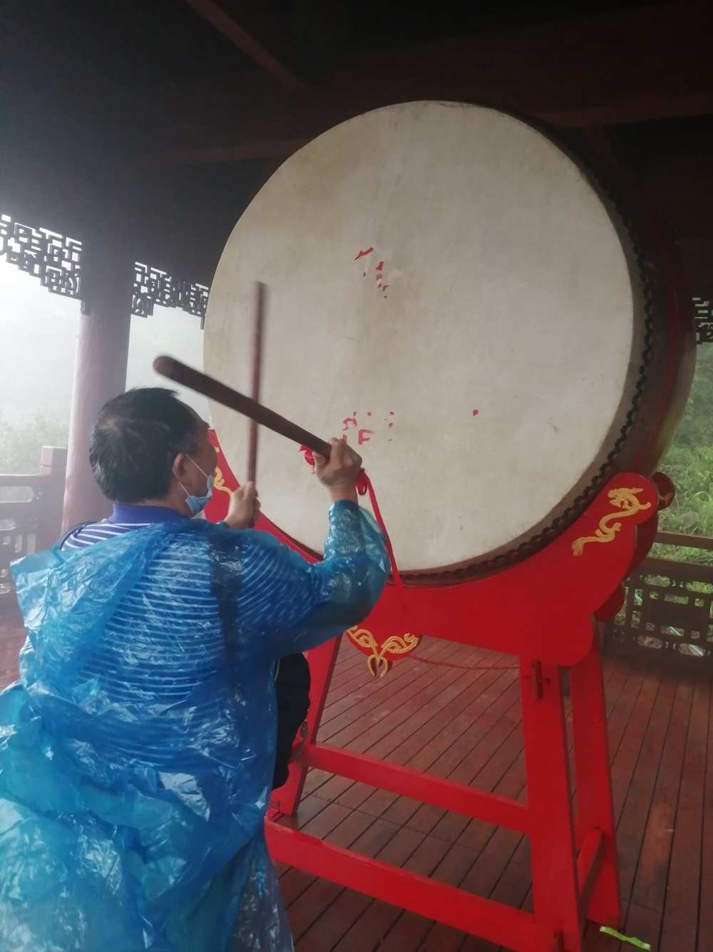 战音纷鸣，夏日午后