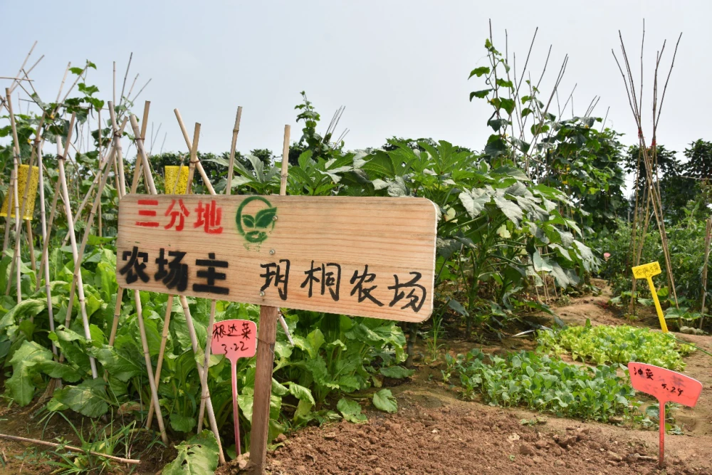 完美农场红包版下载_4399完美农场游戏玩家_完美农场下载