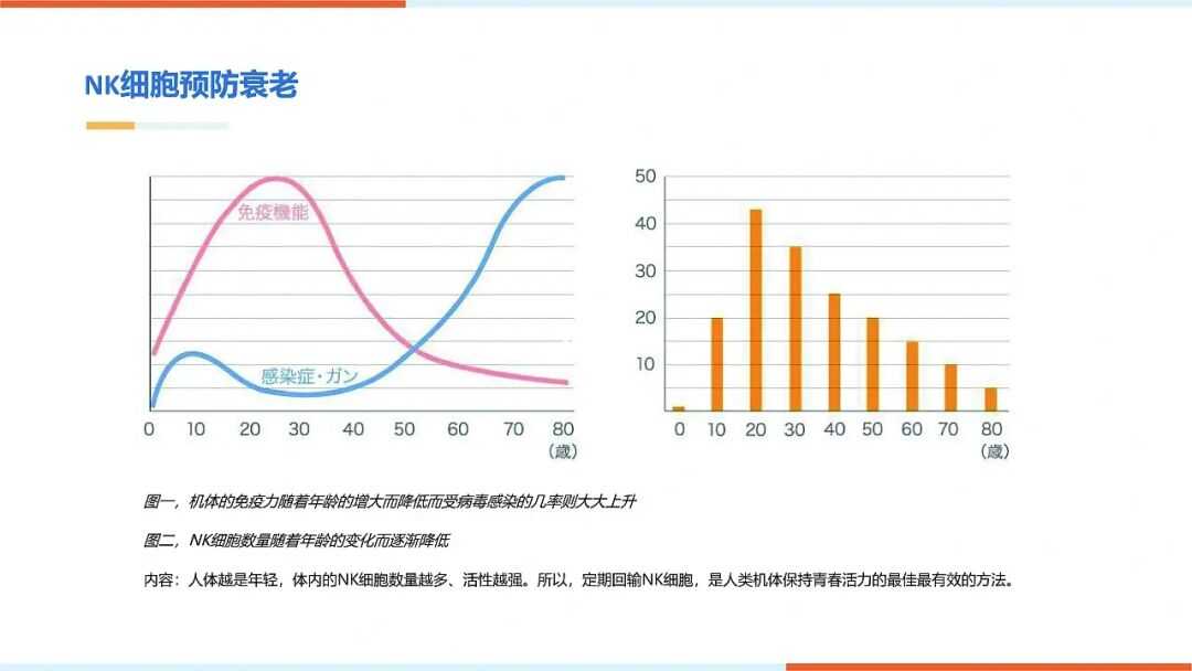 明日方舟资深干员tag搭配
