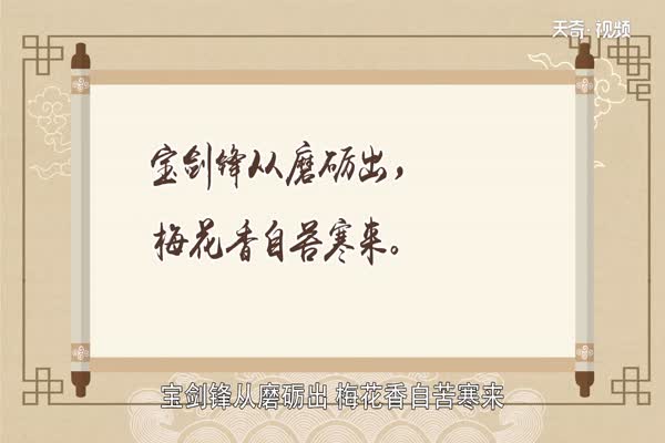 诗人品格的诗句_表现诗人品格的诗_诗人品格