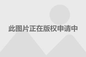 愤怒的了妈妈的美肉奥特曼游戏_愤怒的小猪游戏_最新的愤怒小鸟游戏