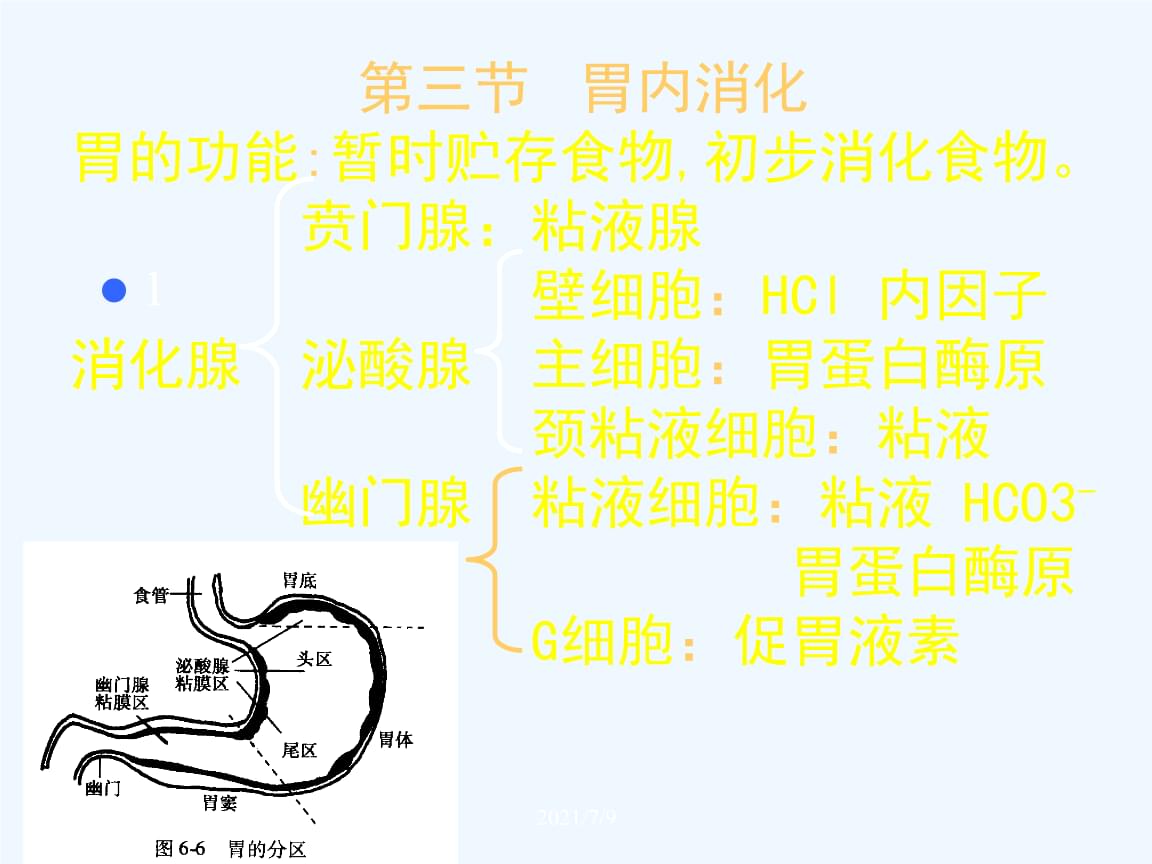 激战2职业_激战2不用买资料片的职业_激战2什么职业厉害