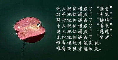 卑鄙小人小人图片_卑鄙小人游戏_小人的游戏