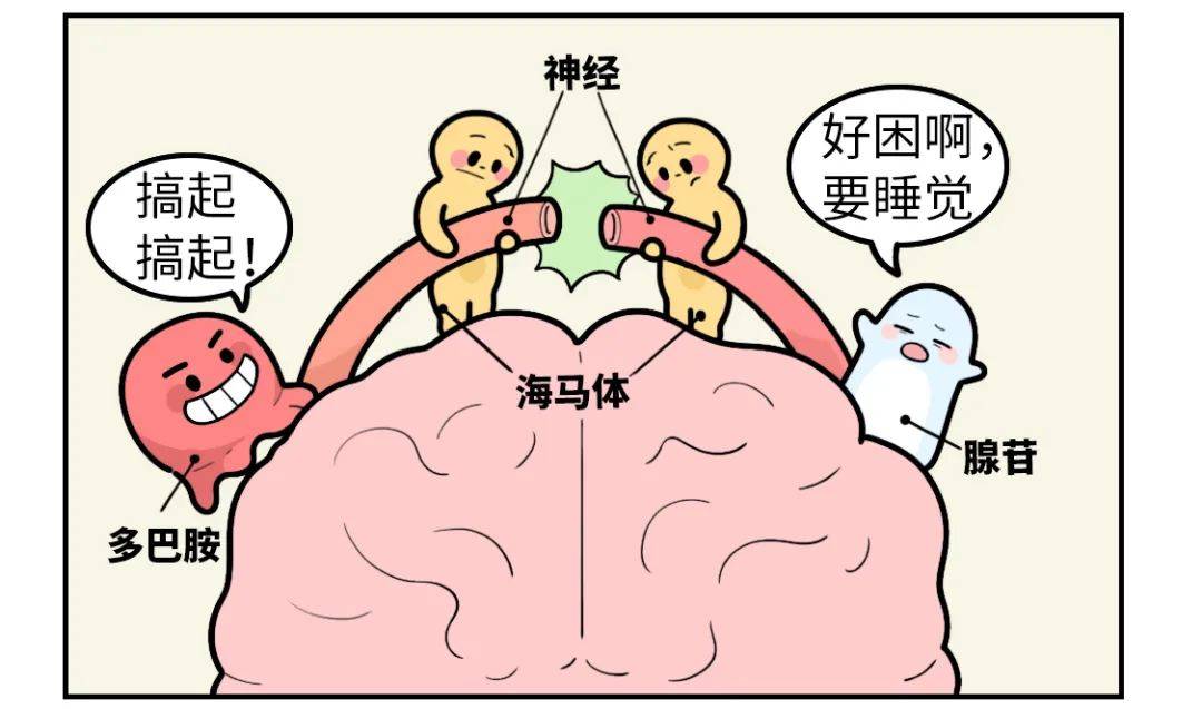 有邪恶漫画大网站_肚子硬有点出血是临产征兆吗_有点硬一个邪恶的网站