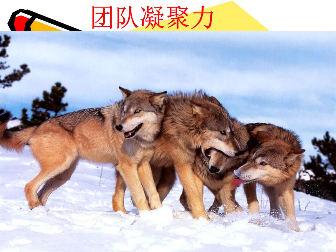 室内团队管理游戏_室内团队凝聚力游戏_10人团队凝聚力的游戏