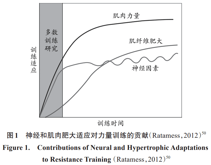 明日方舟资深干员词条一览_明日方舟资深干员搭配支援_明日方舟资深干员tag搭配