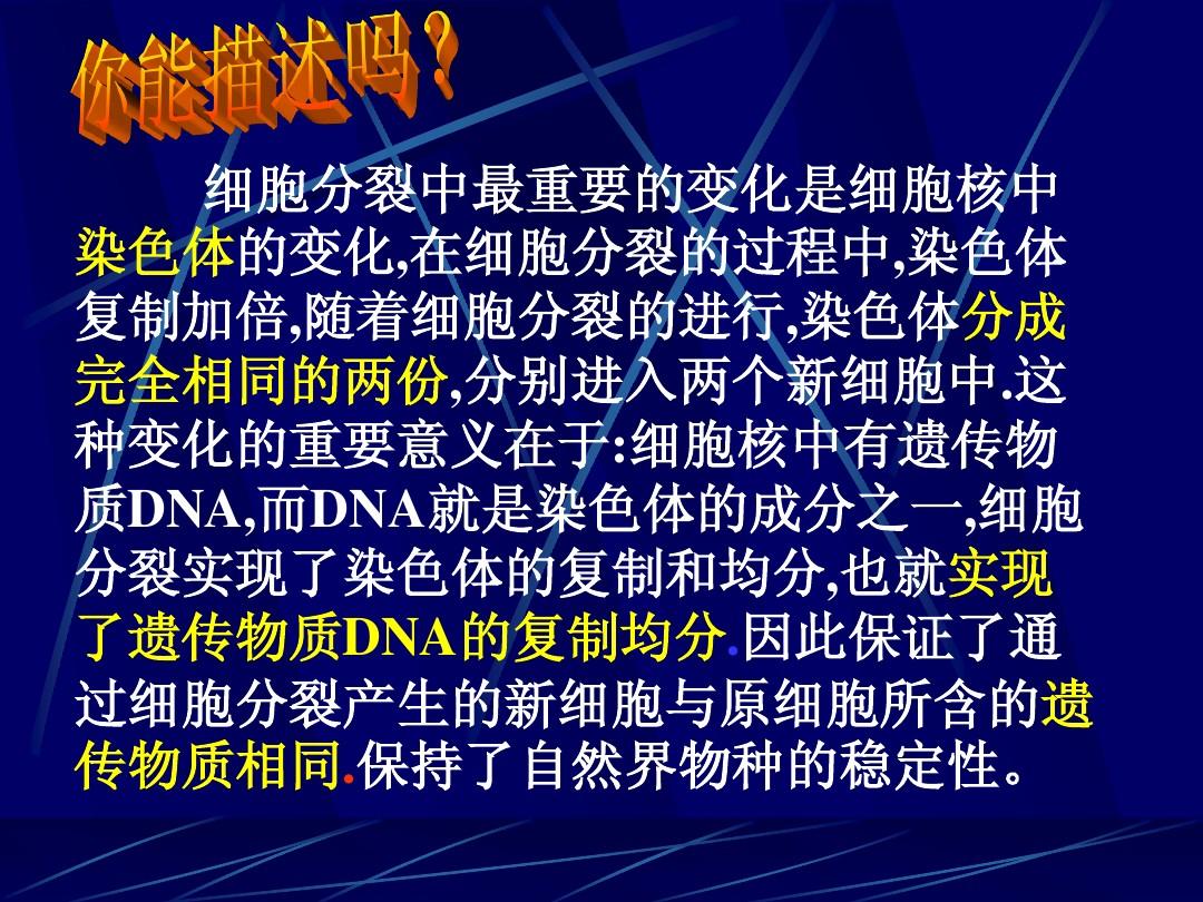 细胞分裂1_时间分裂时间分裂_重生细胞