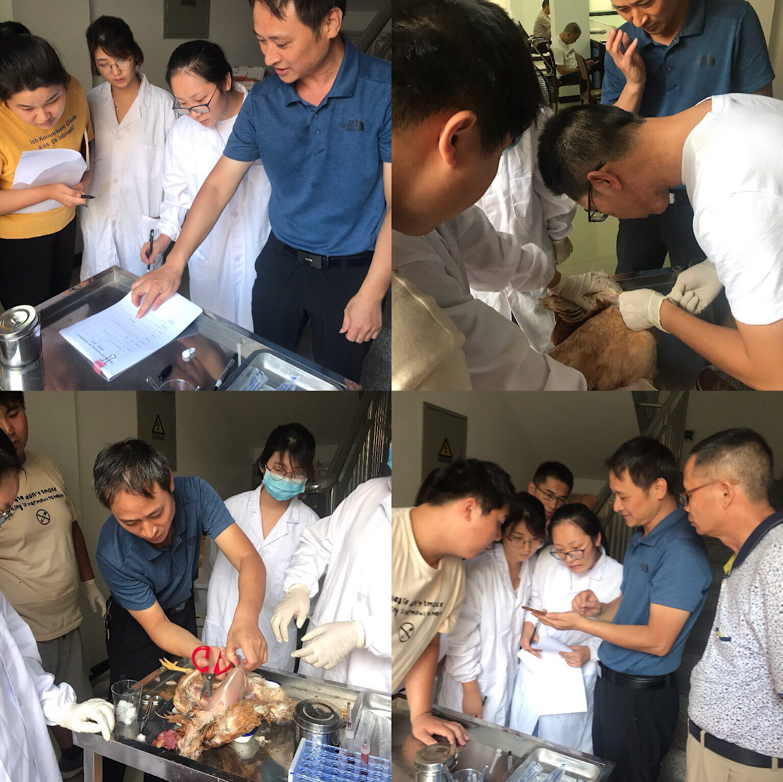 明日方舟资深干员tag搭配_明日方舟资深干员搭配支援_明日方舟资深干员词条一览