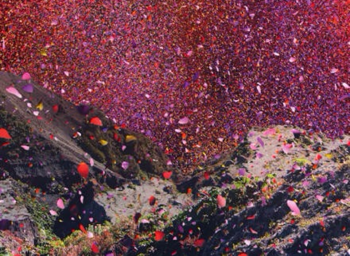 幽幽子妖梦_灵梦与幽幽子的弹幕游戏_幽幽子mmd模型