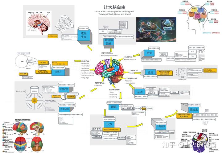 最强大脑水哥个人资料_最强大脑歌手选手_最强大脑第一季水哥