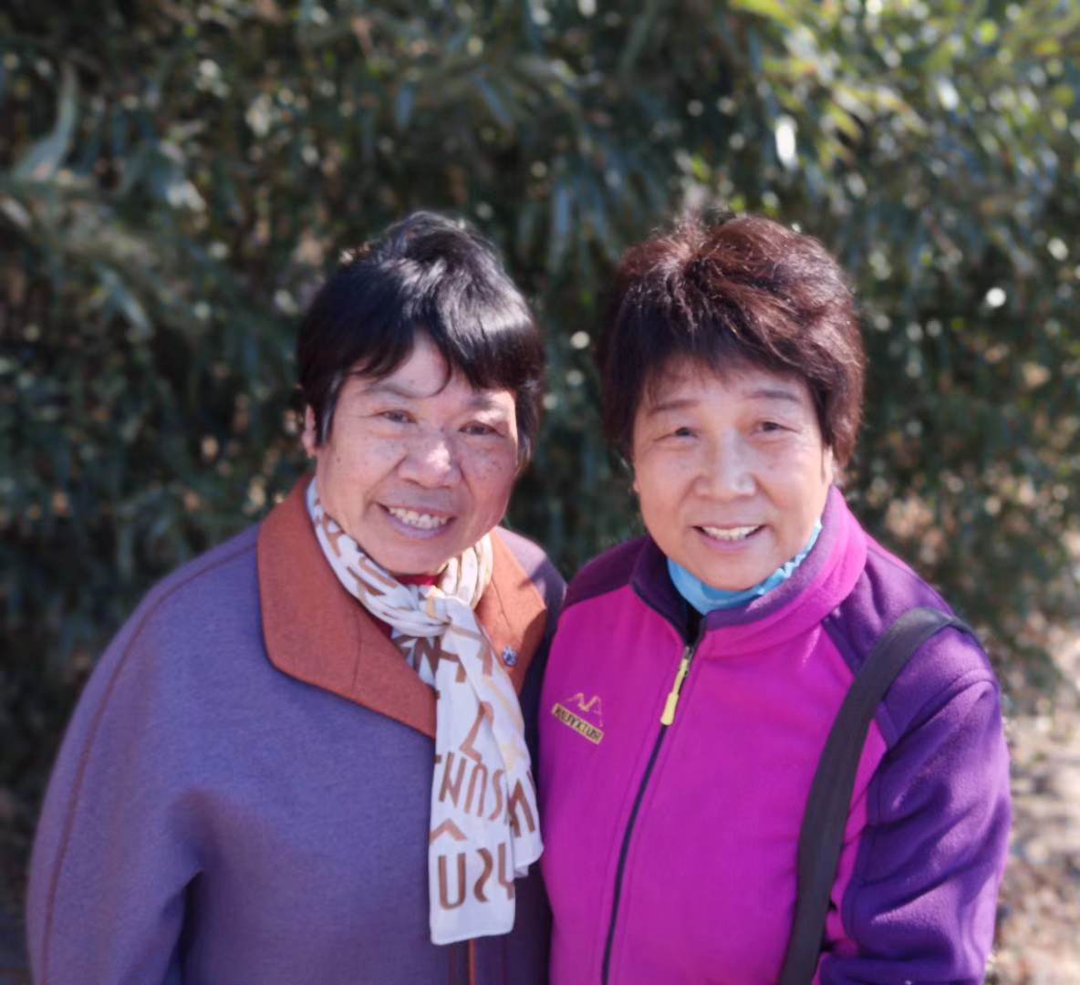 [网王]如笑春山_你在笑是爱情如烈火是什么歌_岁月如冰河热望如鲸歌什么意思