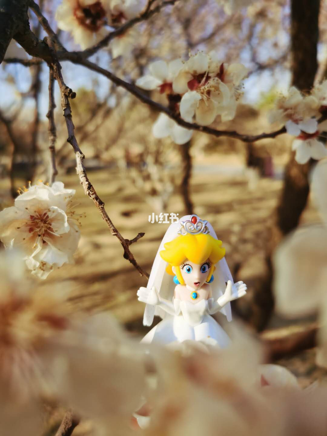 桃花公主_桃花公主城堡_桃花公主和菊花公主有什么区别