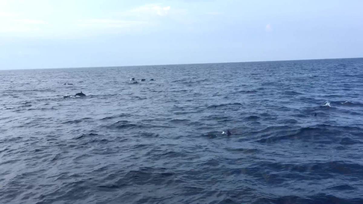 野蛮流浪汉3_野蛮流浪汉为什么不能玩_野蛮流浪汉下载安装