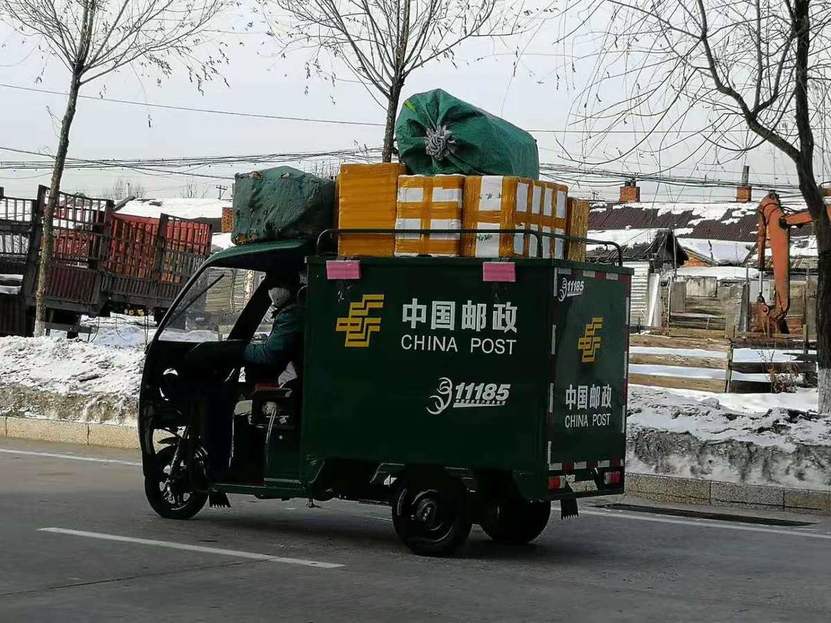 鲸鱼集体搁浅死亡_青岛鲸鱼搁浅死亡_死亡搁浅2