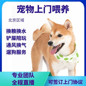 宠物乐园：探索我最爱的游戏特色