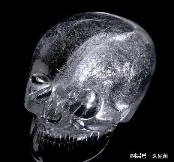 人无头不走下一句是什么_无头人_人无头不走鸟无头不飞的意思