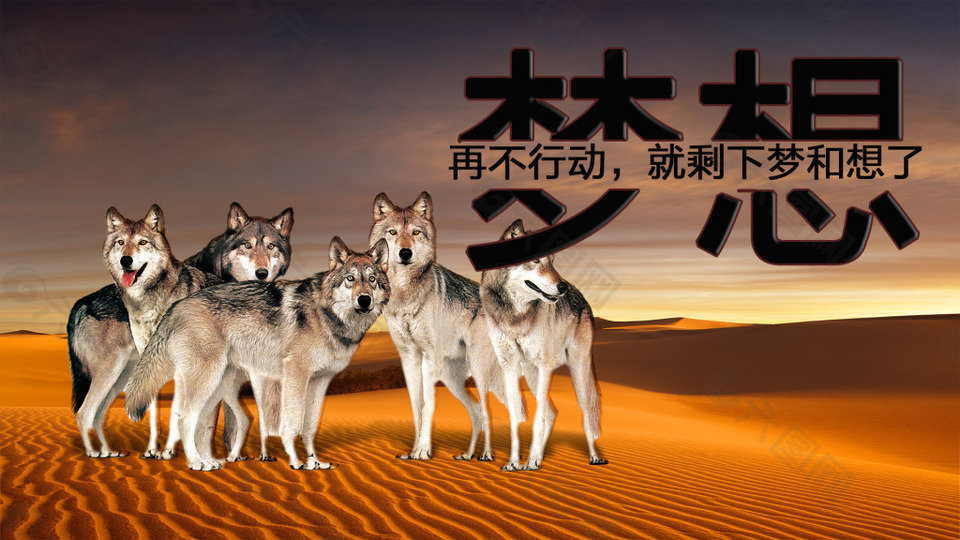 女狼俱乐部主题曲_关于狼的俱乐部名字_女狼俱乐部合唱插曲