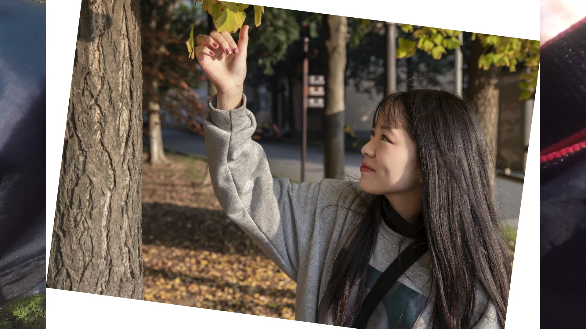 花季视频免费看_花季视频免费看_花季视频免费看