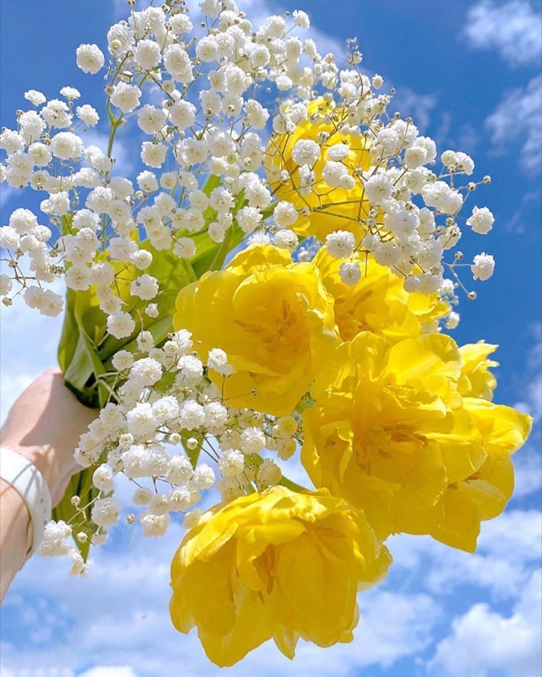 花儿app直播软件下载_花儿app免费下载_花儿app