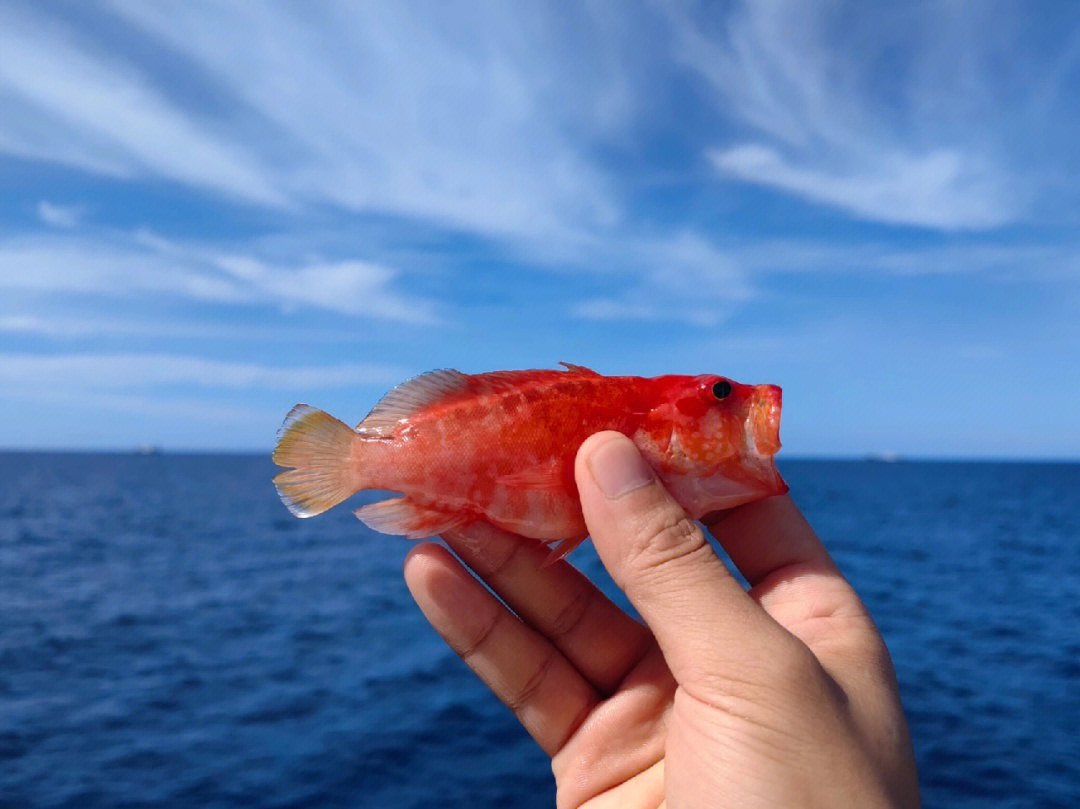 海钓天国_海钓天堂在哪_海钓天堂