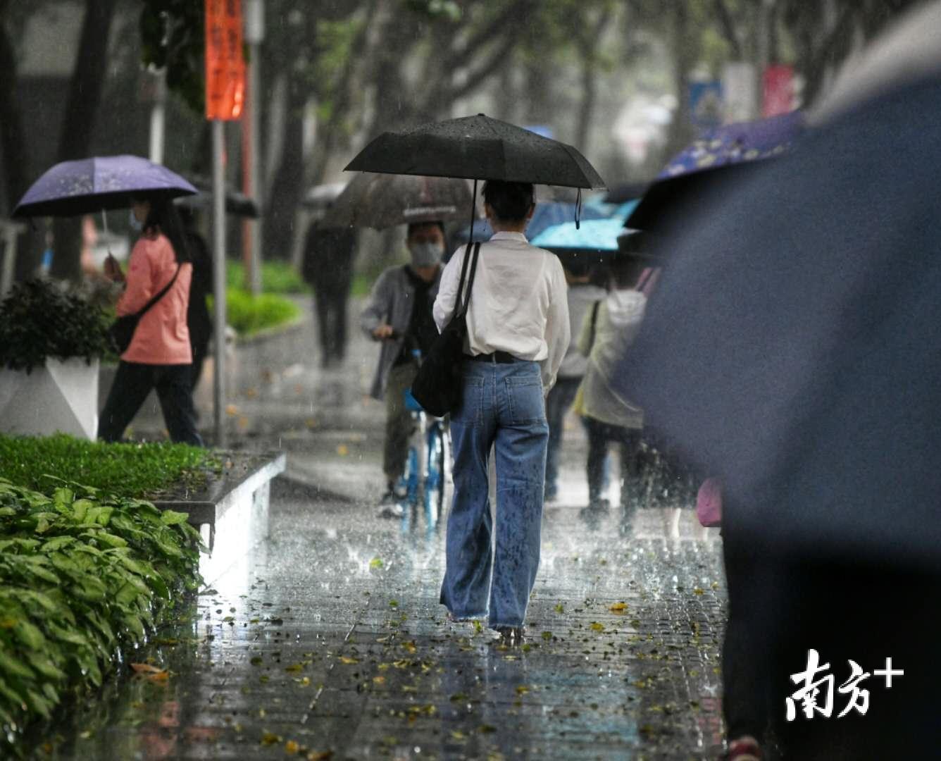 雨裁有用吗_雨裁适合谁用_裁雨是什么意思