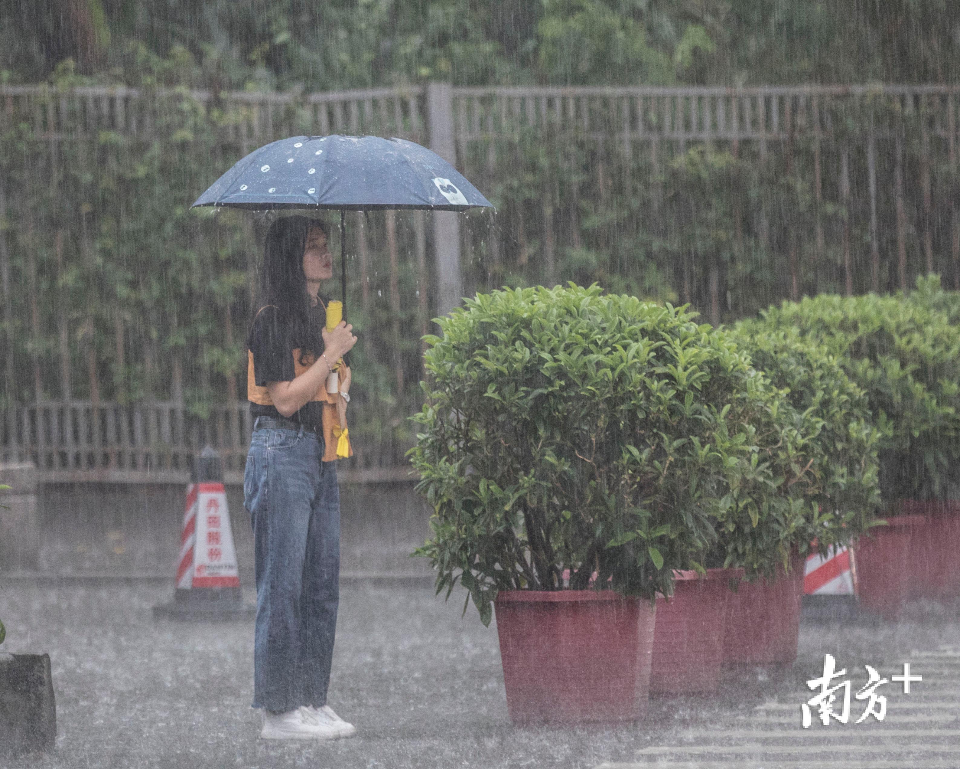裁雨是什么意思_雨裁适合谁用_雨裁有用吗