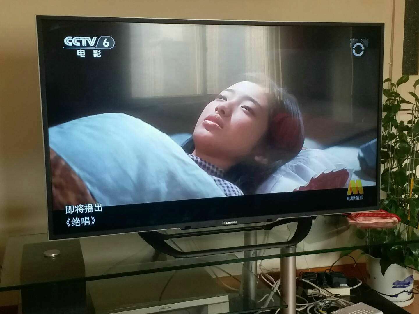 永久不收费免费看的app软件_永久免费的app软件集合_永久免费使用