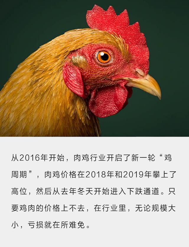 国际版吃鸡_吃个鸡国际版_国际版吃鸡最新版下载