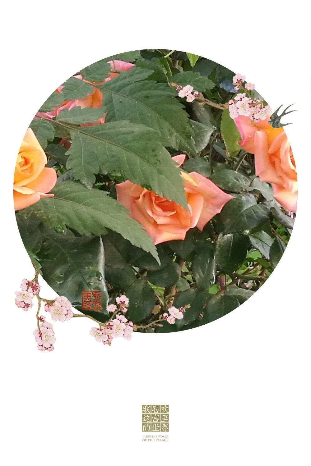 流星花园时间_花园时间顺序怎么写的_时间花园