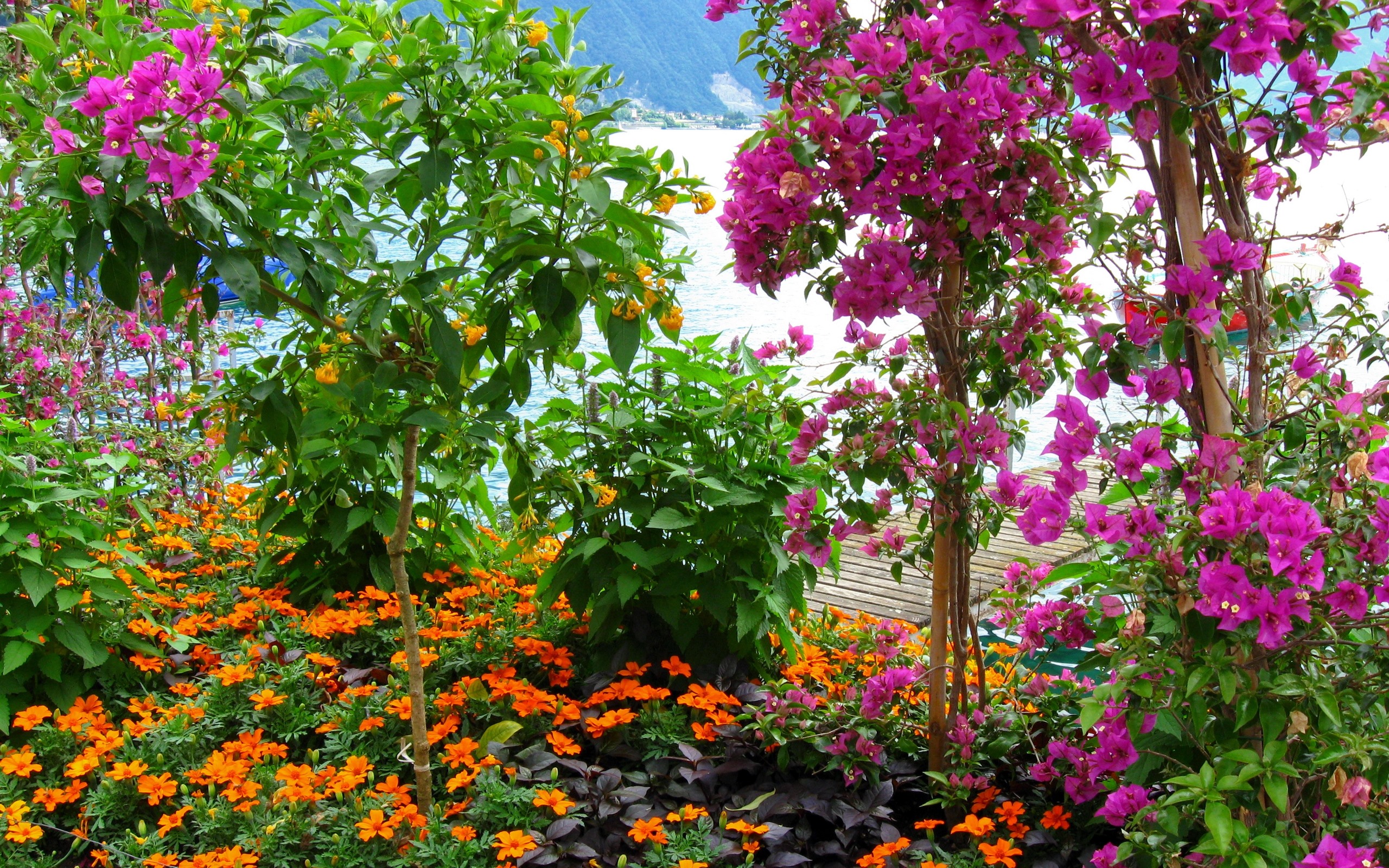 花园时间顺序怎么写的_时间花园_流星花园时间