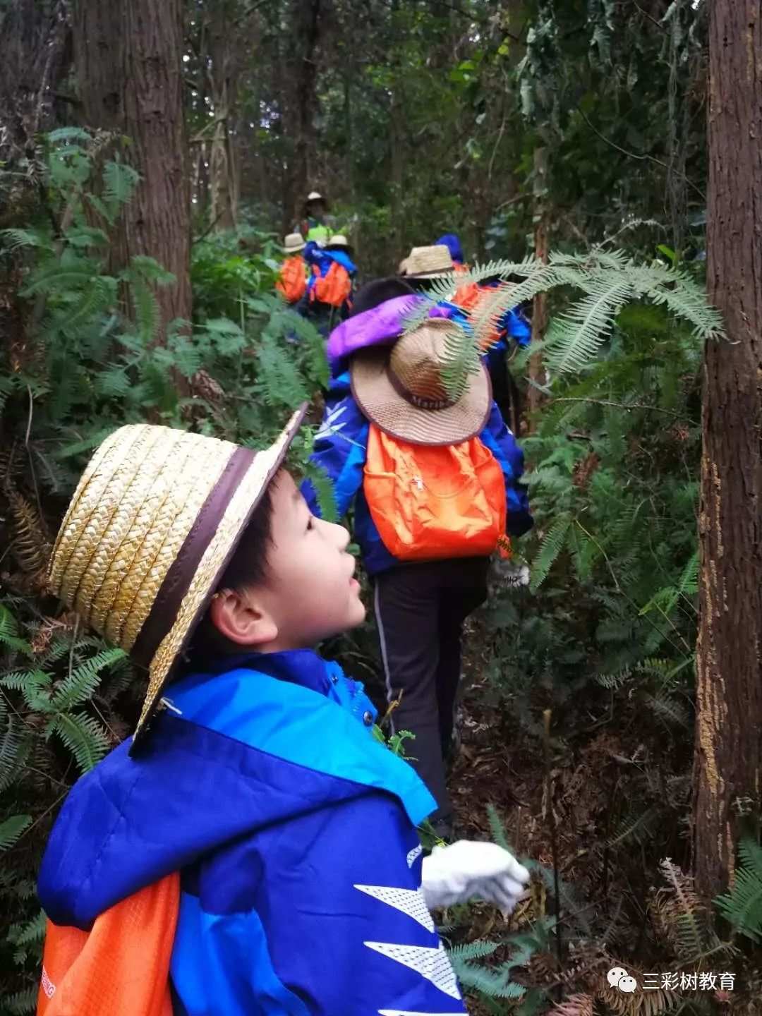 达瑞尔_瑞尔达的怨恨_瑞尔达集团怎么样