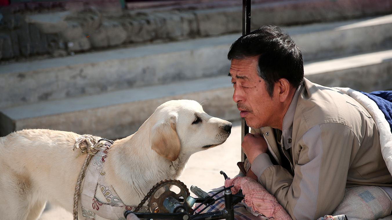 影视狗极速飞车全集播放可以吗_影视猫下载手机版_特狗影视