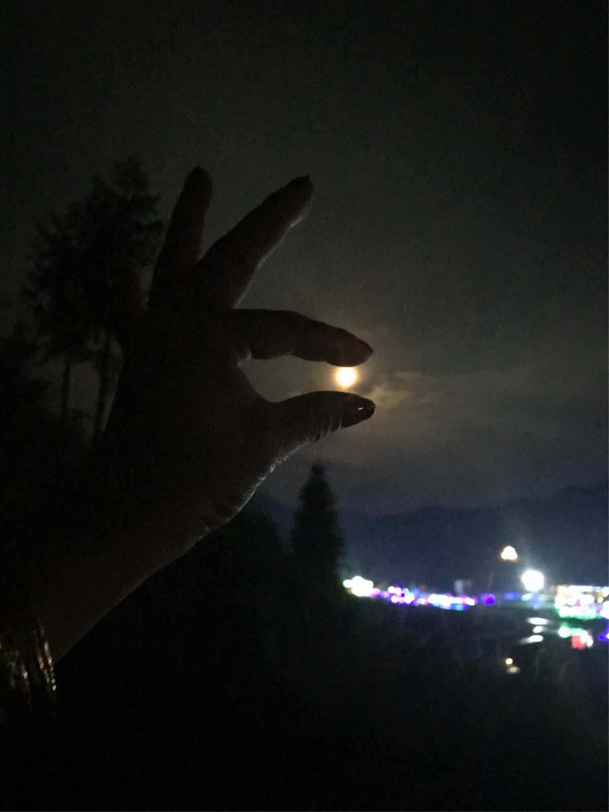月下夜想曲全攻略_月下夜想曲最快通关_月下夜想曲攻略