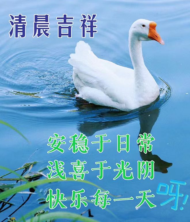露出小说_露出小说_露出小说