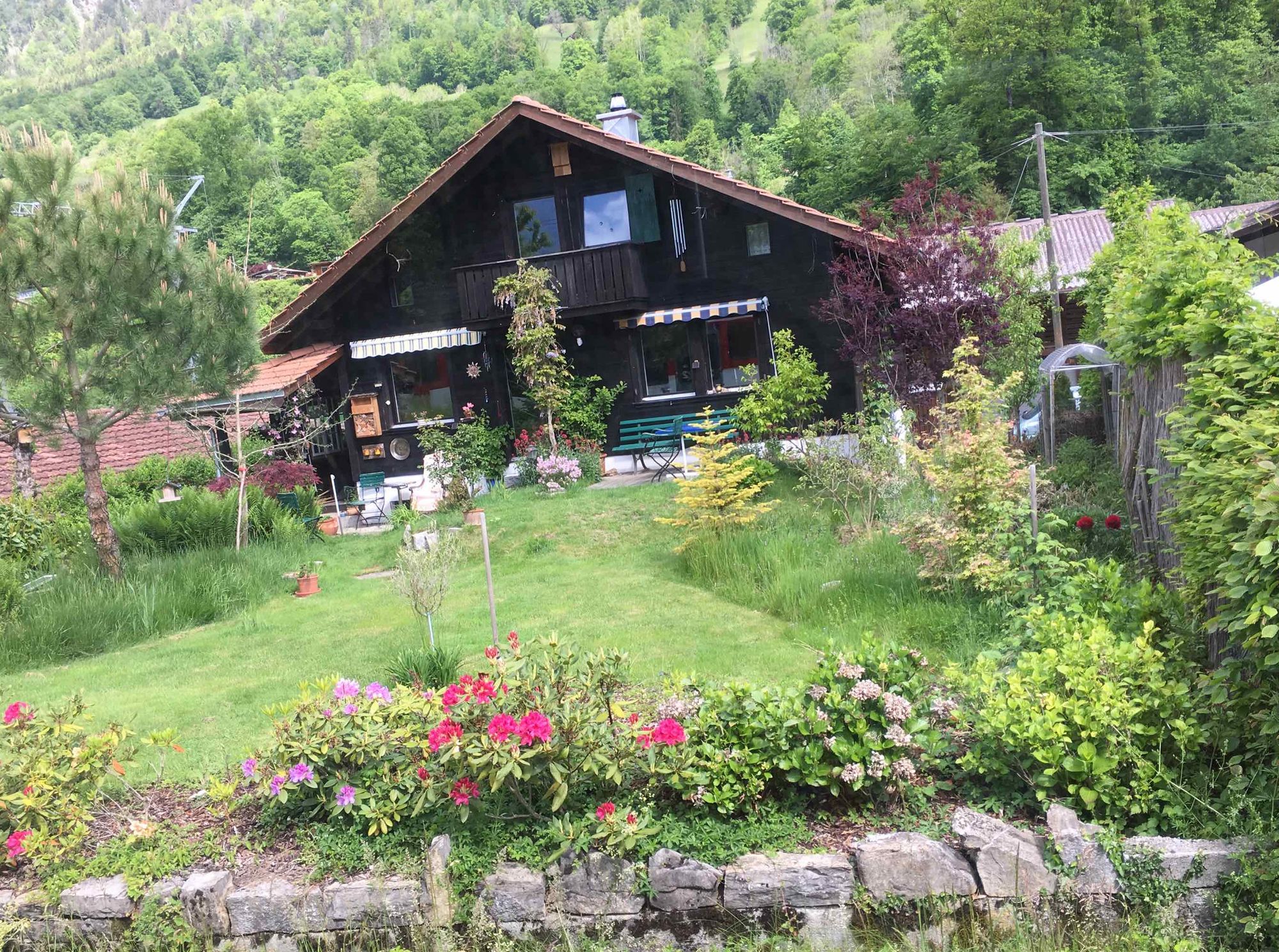 寂静岭英文_寂静岭英文_寂静岭英文