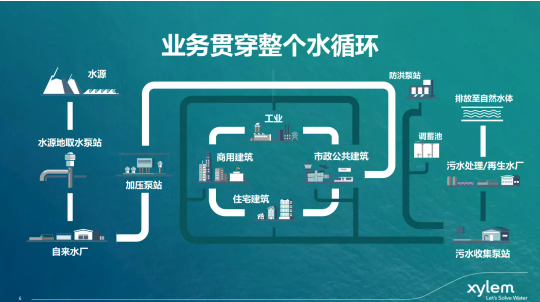 弁天白茶花_弁天小僧_弁天