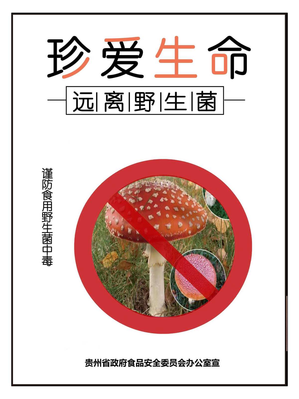 古菌：生态系统中的隐秘力量