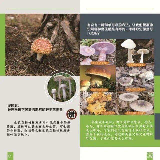 菌古水_古菌_菌古代叫什么