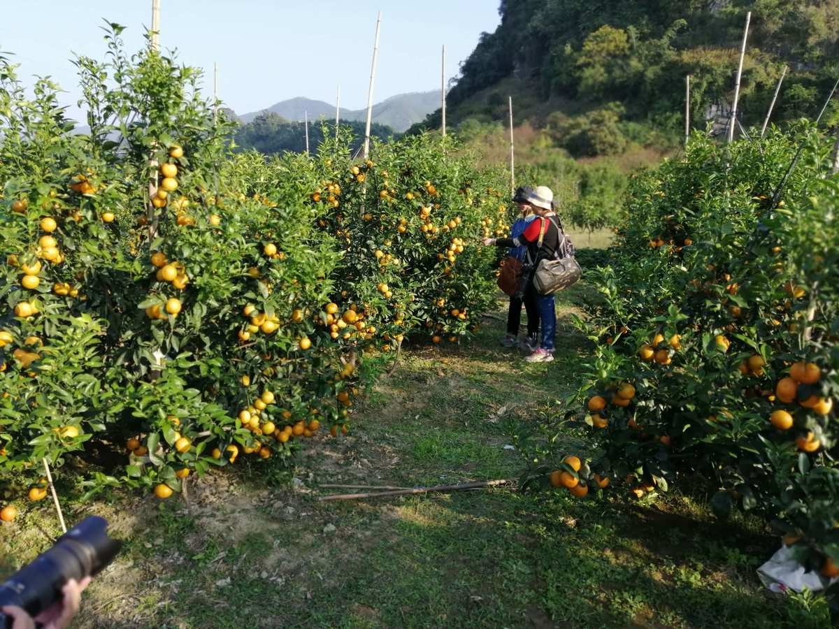 农场果蔬连连看_农场果蔬连连看游戏_农场水果连连看2