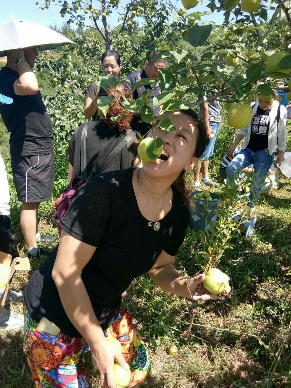 农场果蔬连连看游戏_农场水果连连看2_农场果蔬连连看