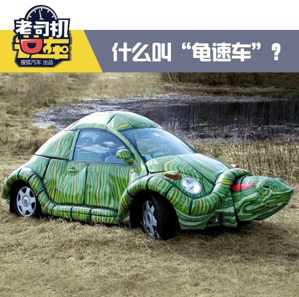 手机游戏乌龟车_一款关于乌龟的游戏_乌龟车电影叫什么名字