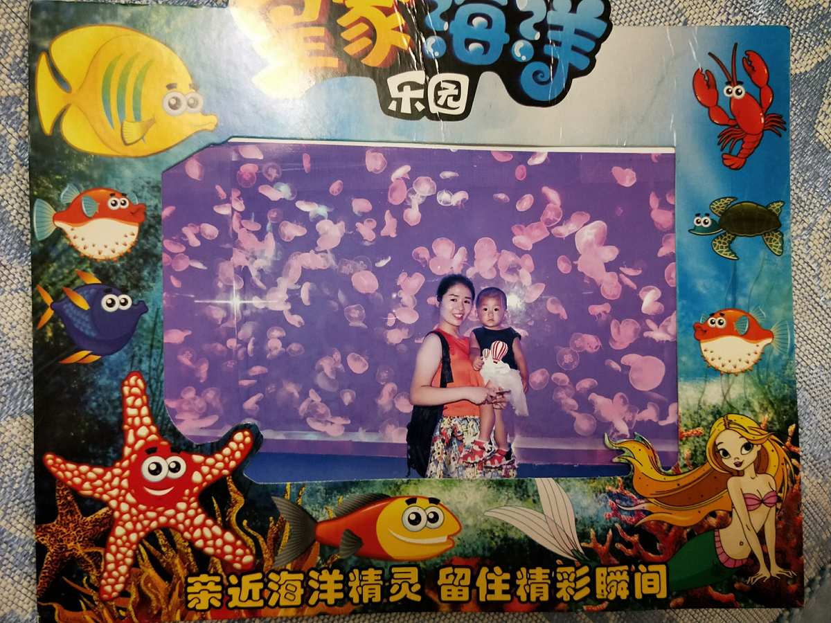 手机玩水世界游戏-随时畅游海洋，手机水世界游戏尽兴