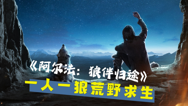 阿尔法狼伴归途在线观看高清_阿尔法狼伴归途在线高清免费观看_阿尔法狼伴归途在线观看免费